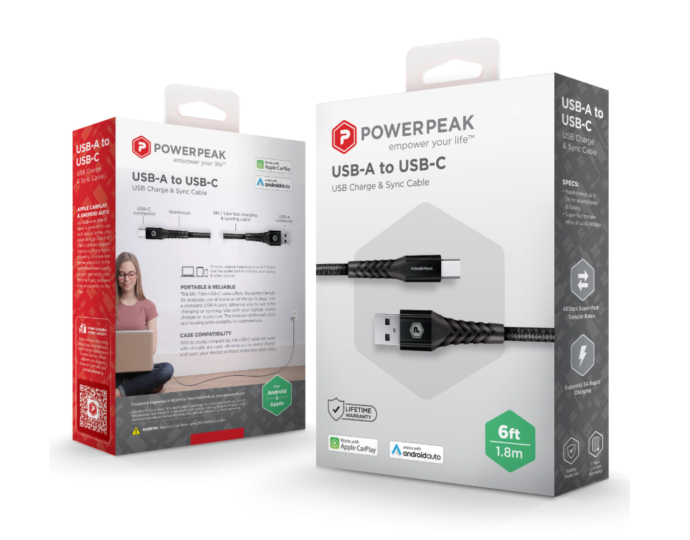 Type A to C 6ft Cable