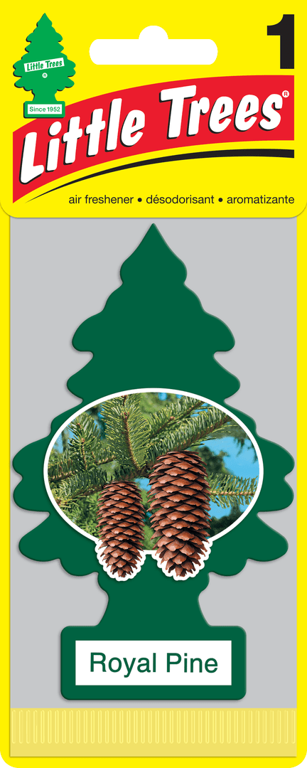 Little Tree Air Freshener Royal Pine 24bx