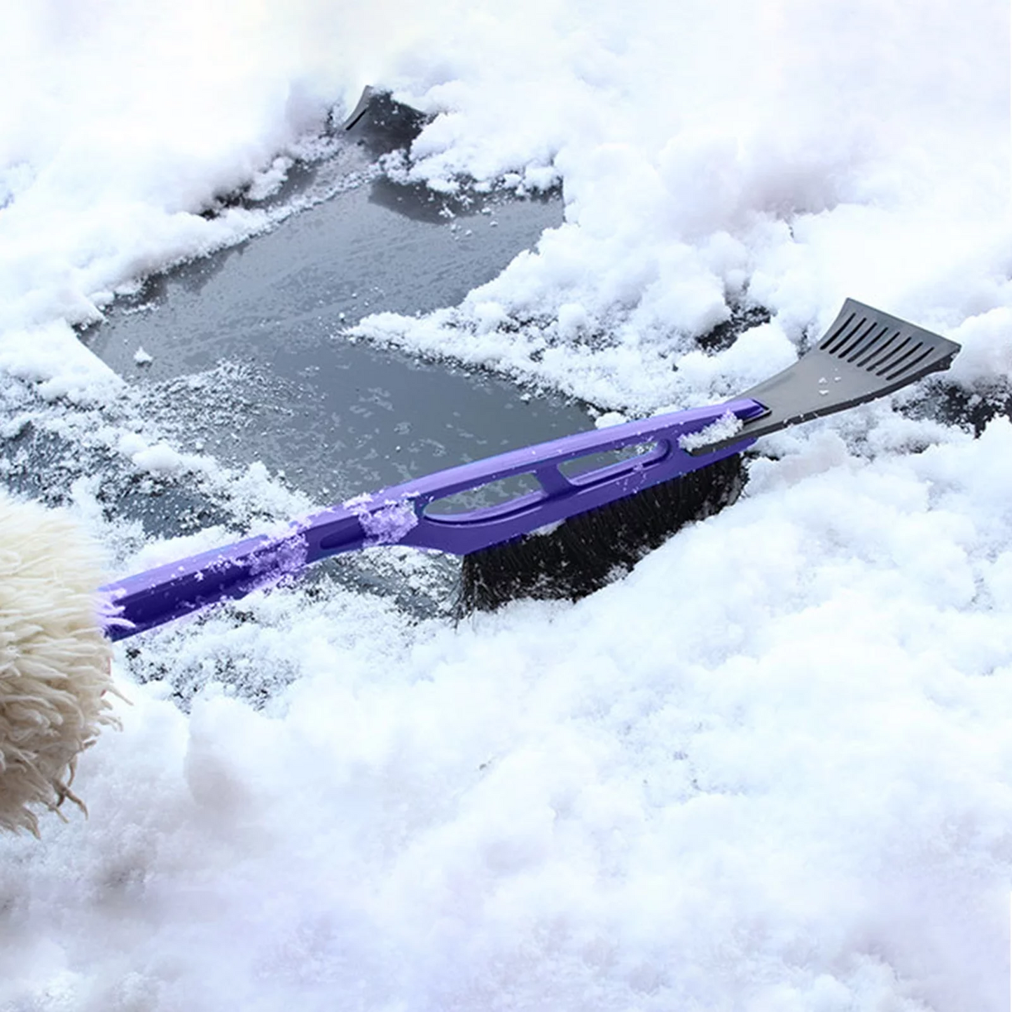 Snow Brush 12/bx