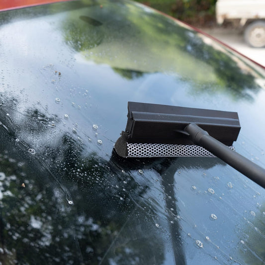 Squeegee Plastic Handle Economy