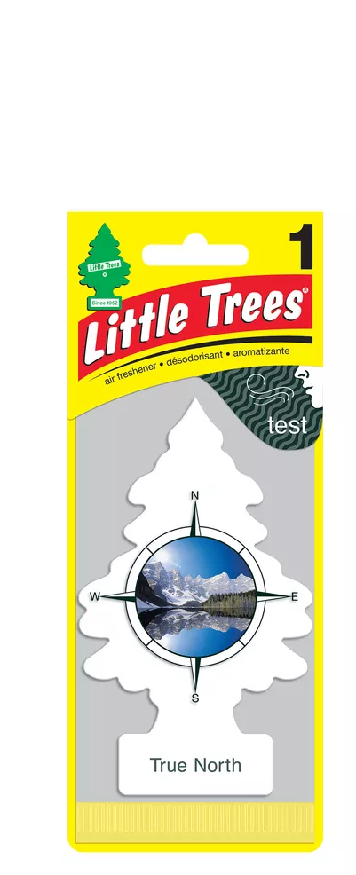 Little Tree Air Freshener True North 24bx