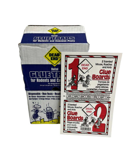 glue traps for rodents and insects 