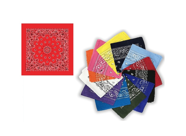 Square Bandanna With Paisley Design 12/bx