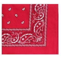 Square Bandanna With Paisley Design 12/bx