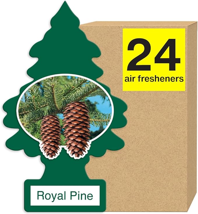 Little Tree Air Freshener Royal Pine 24bx