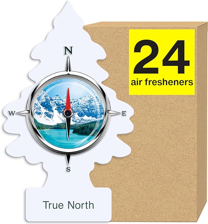 Little Tree Air Freshener True North 24bx