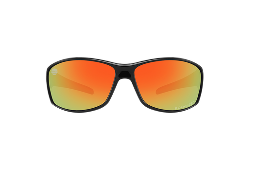 wholesale Polarized Sunglasses 12/bx