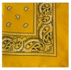 Square Bandanna With Paisley Design 12/bx